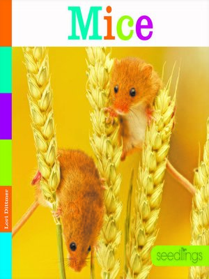 cover image of Mice